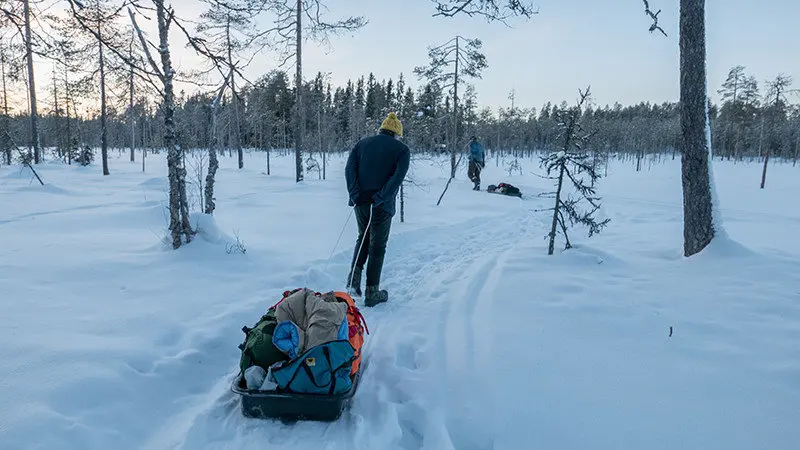 Man pulls a sled in the snow by Wynand Van Poortvliet