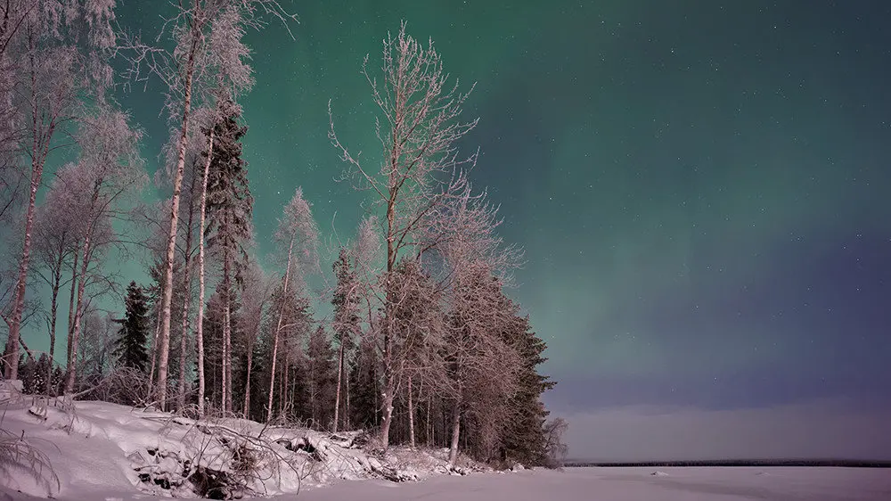 Aurora borealis in Lapland by Vincent Guth