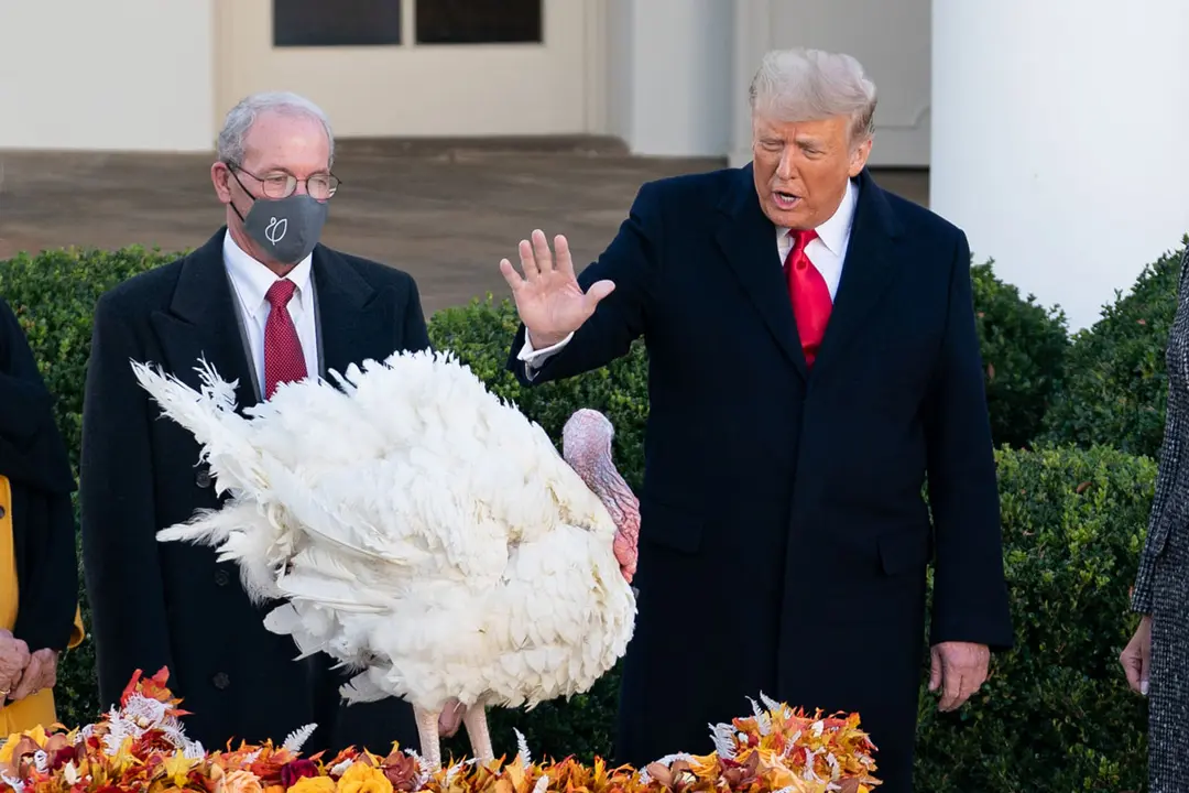 24 November 2020, US, Washington: US President Donald Trump (R) pardons 'Corn' as the 2020 National Thanksgiving Turkey during the annual pardoning ceremony of the National Thanksgiving Turkey in the Rose Garden of the White House. Photo: Andrea Hanks/White Housevia ZUMA Wire/dpa
