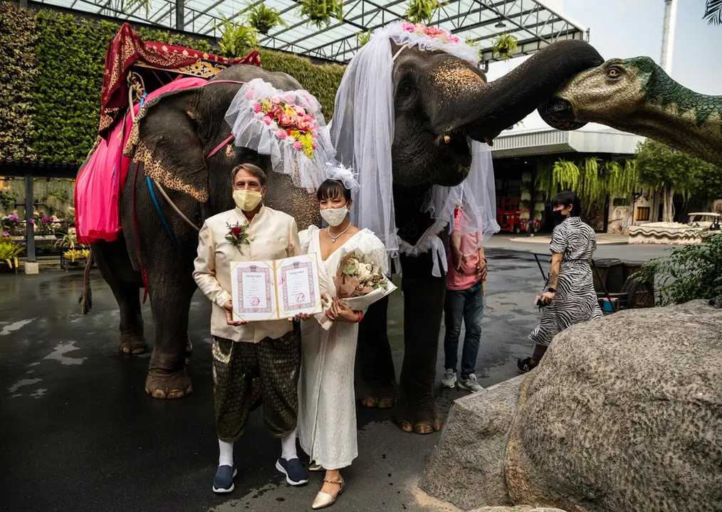 14 February 2021, Thailand, Pattaya: A bride and groom hold their wedding certificate in front of elephants during a joint wedding ceremony on Valentine's Day at Nong Nooch Tropical Garden. Photo: Andre Malerba/ZUMA Wire/dpa
