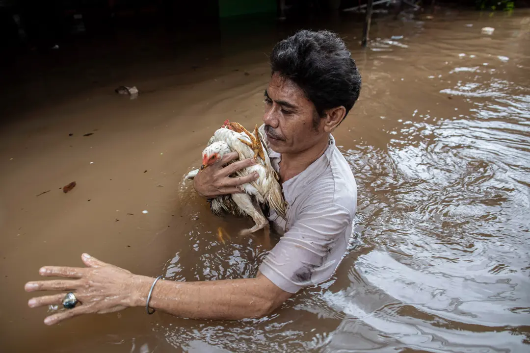 20 February 2021, Indonesia, Jakarta: A man carries his chicken through a flooded neighbourhood following heavy rains. Floods inundated parts of the Indonesian capital and its surrounding towns on Saturday following heavy rain overnight, displacing thousands of people. Photo: Donal Husni/ZUMA Wire/dpa.