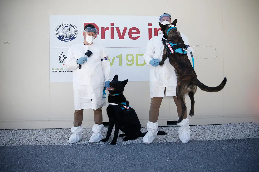30 March 2021, Italy, Rome: Trainers stand with their dogs in front of a training center. The dogs are to be trained at the Biomedical Campus to recognise from a person's sweat whether they are infected with the coronavirus. Photo: Cecilia Fabiano/LaPresse via ZUMA Press/dpa