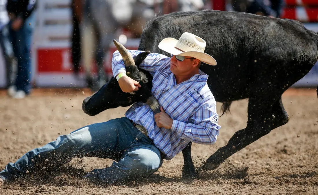 10 July 2021, Canada, Calgary: J.D. Struxness, of Milan, Minn., competes in the steer wrestling event during rodeo action at the Calgary Stampede. Photo: Jeff Mcintosh/The Canadian Press via ZUMA/dpa
