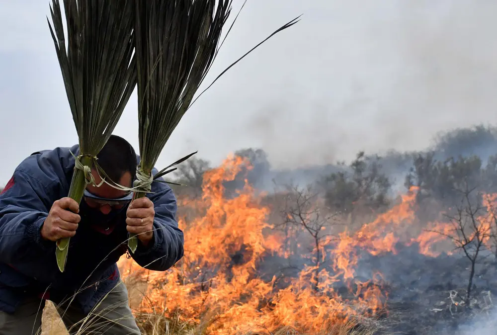 06 October 2021, Argentina, Cordoba: A man tries to extinguish flames with palm fronds during a fire in the northern part of Cordoba province. Photo: Laura Lescano/telam/dpa