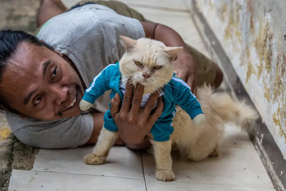 10 November 2021, Indonesia, Bogor: Fredi Lugina Priadi, a designer and tailors specialist in making cat costumes, plays with a cat dressed up in a costume, which he made, inspired by the Korean drama "Squid Game". Photo: Donal Husni/ZUMA Press Wire/dpa.