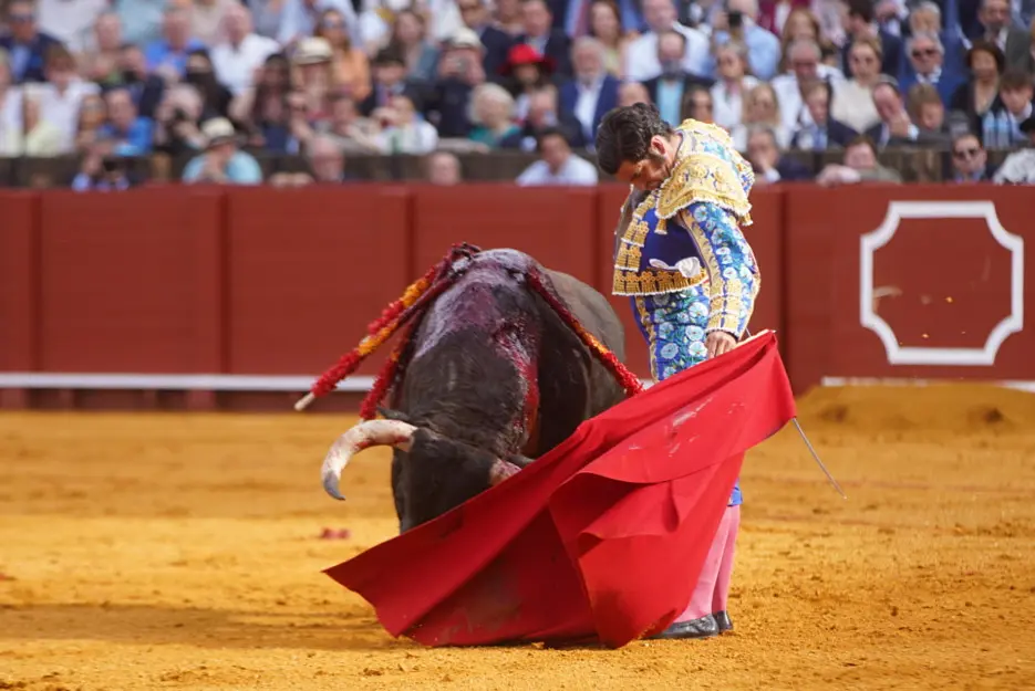 17 April 2022, Spain, Seville: Spanish bullfighter Morante de la Puebla performs a pass to a bull during the Easter Sunday Bullfight at the Real Maestranza de Caballeria bullring. Photo: Eduardo Briones/EUROPA PRESS/dpa.