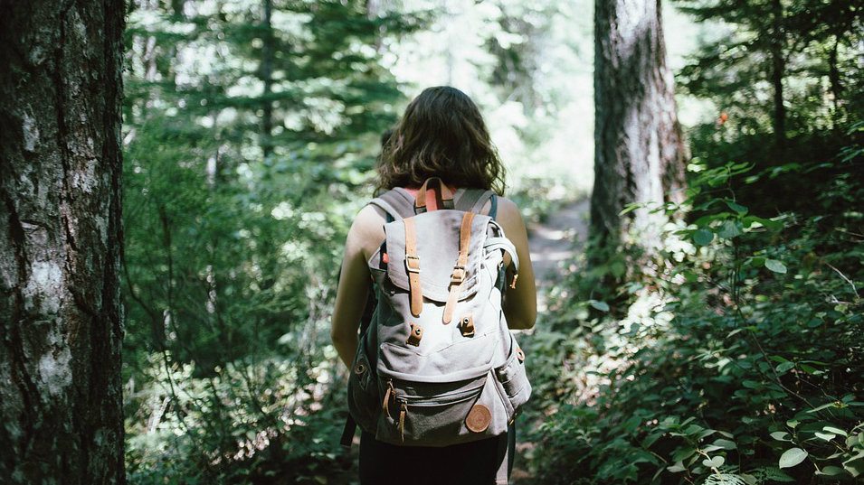 forest trekking girl