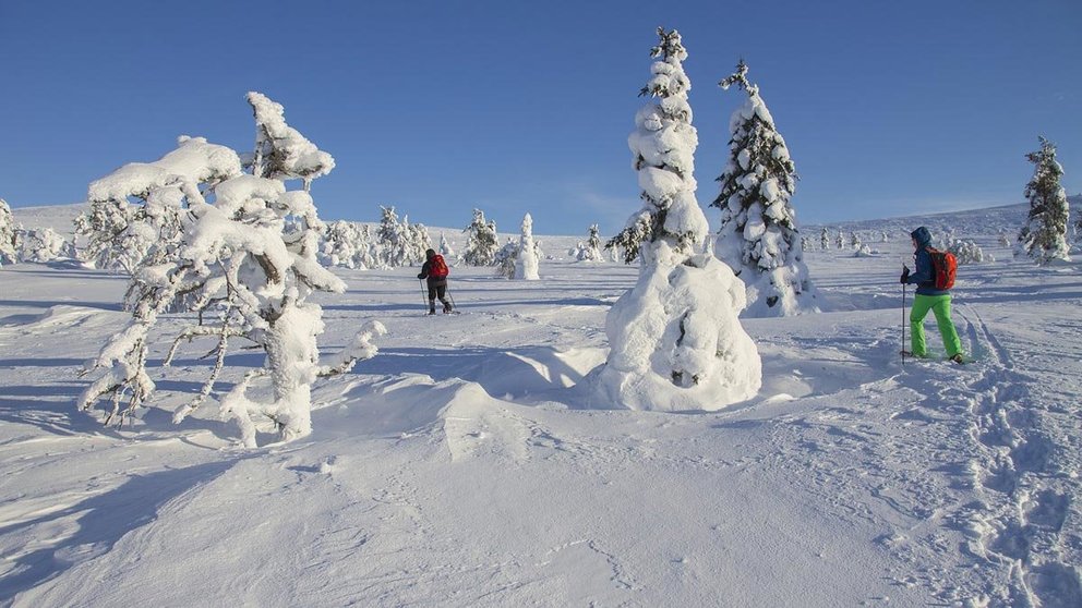 Snow-shoe-snow-ski-Lapland-by-adege-from-Pixabay