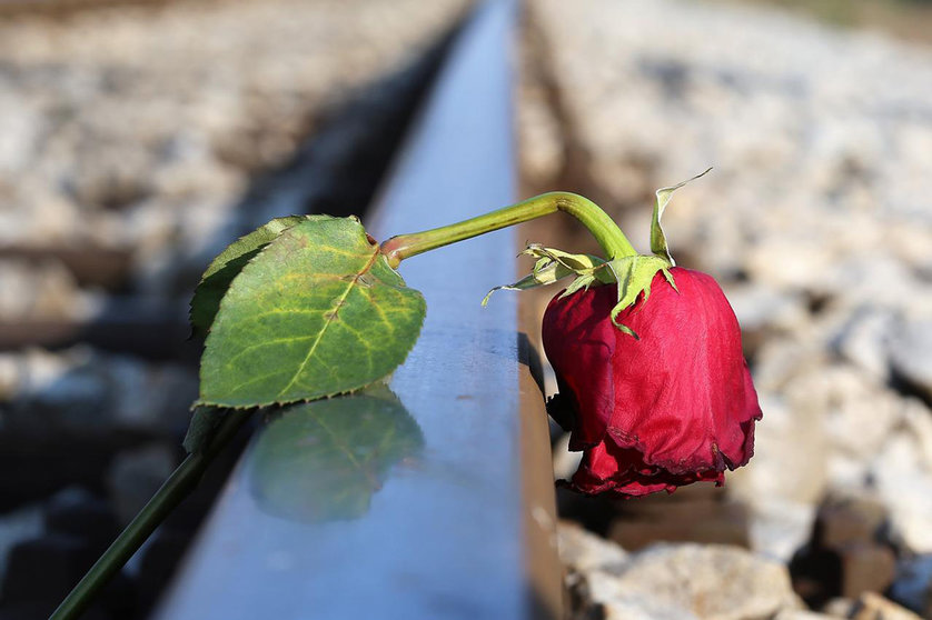 Suicide rose railway by Pixabay.