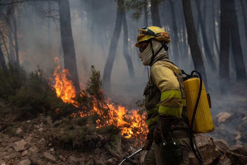 16 June 2022, Spain, Zamora: A firefighter works to extinguish the forest fire in Sierra Culebra. Photo: Emilio Fraile/EUROPA PRESS/dpa.