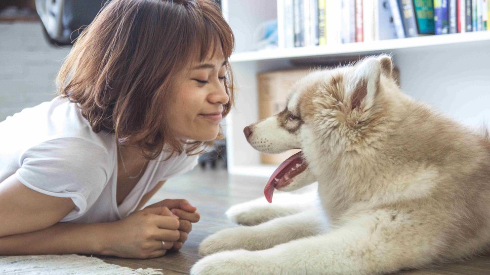 Woman dog love pet