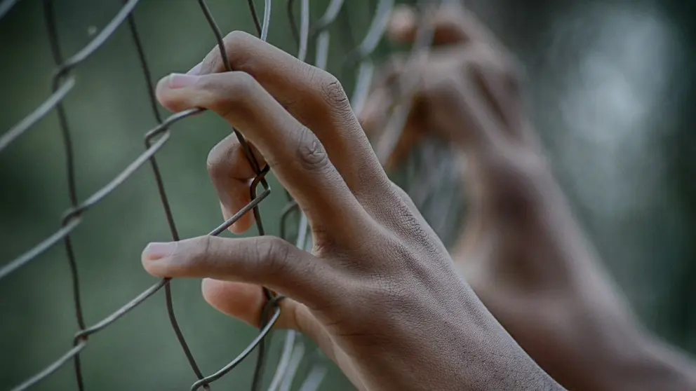 Fence hands