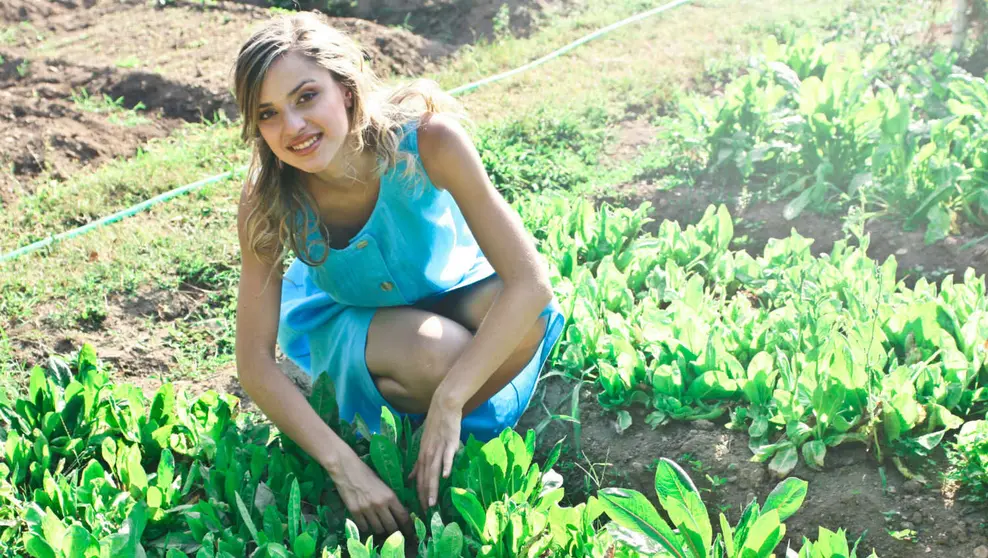 Agriculture woman work countryside