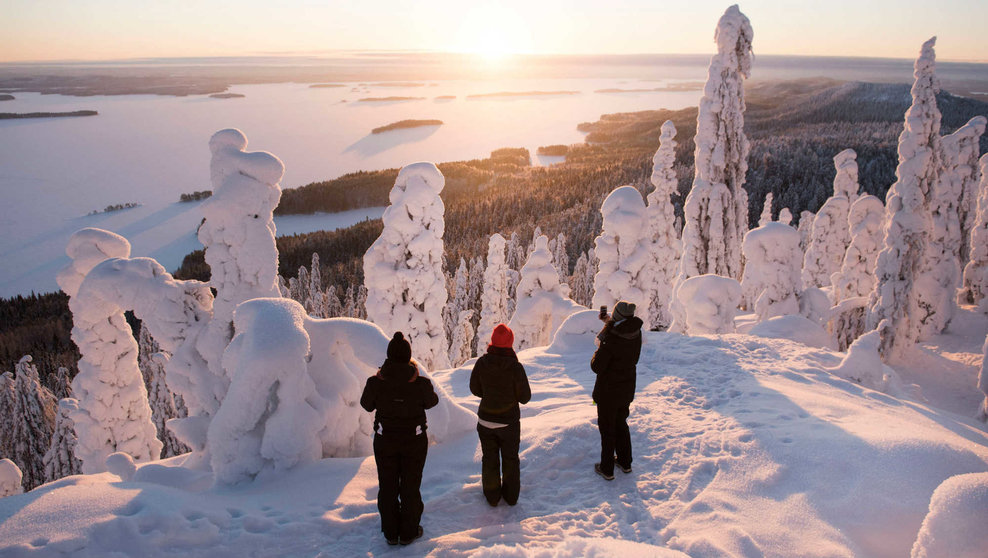 Finland Koli snow forest hill by JussiHelttunen