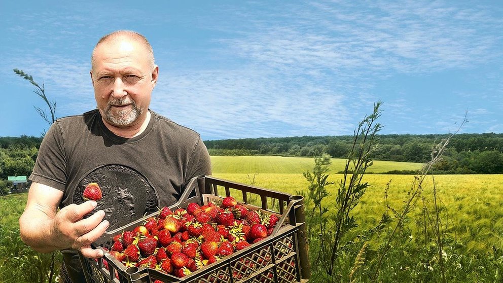 strawberry-fields-seasonal-work