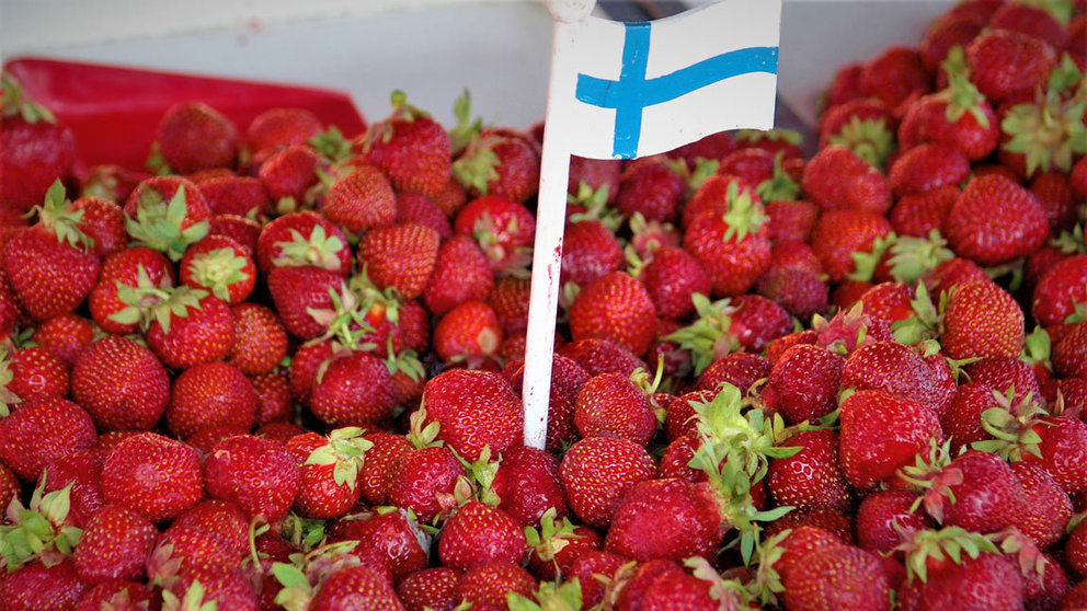 strawberries-strawberry-finnish-finland-flag