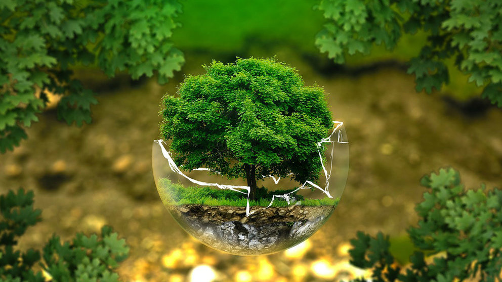 Environment-bio-protection-tree