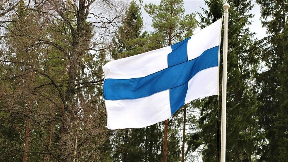Finland-flag-tree-forest-2