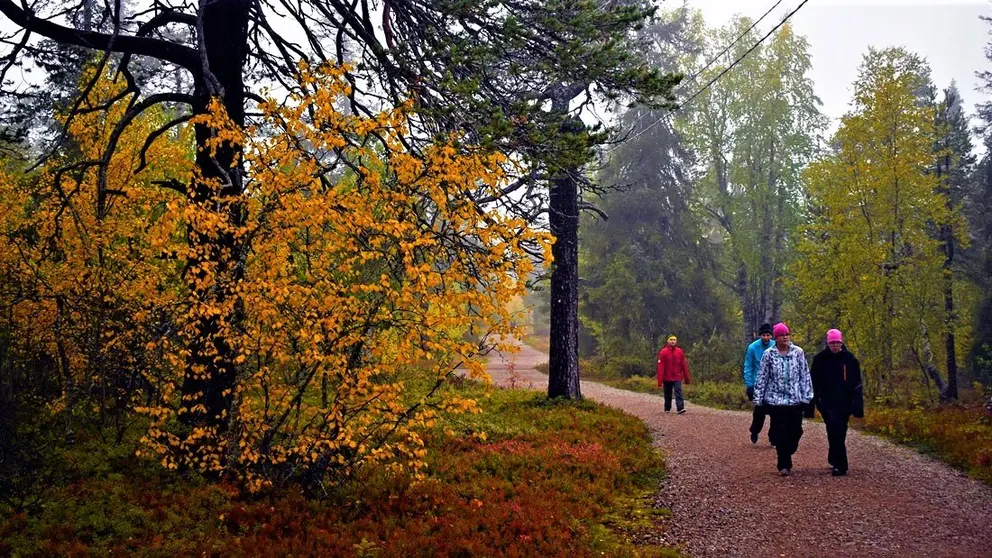 Ruska-excursion-hiking-trekking-people-by-Pablo-Morilla