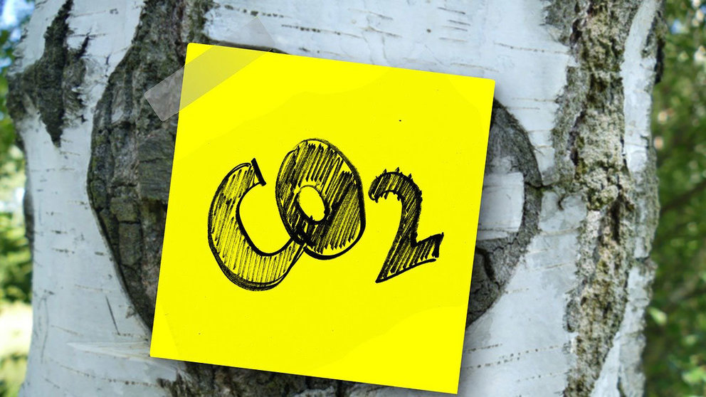 Tree-Co2-emissions