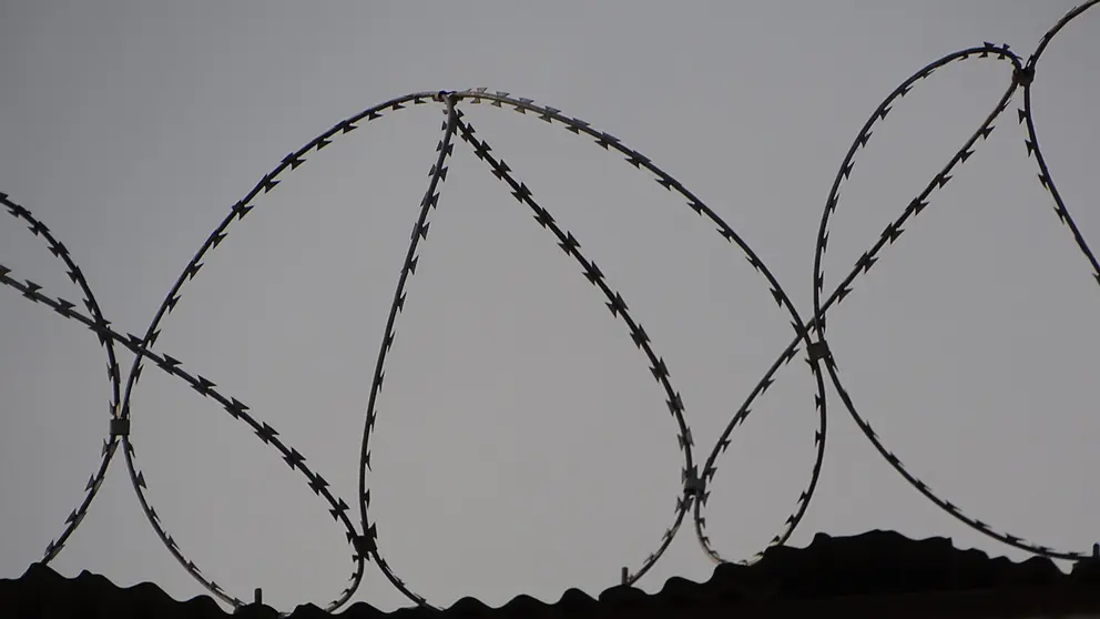 Barbed-wire