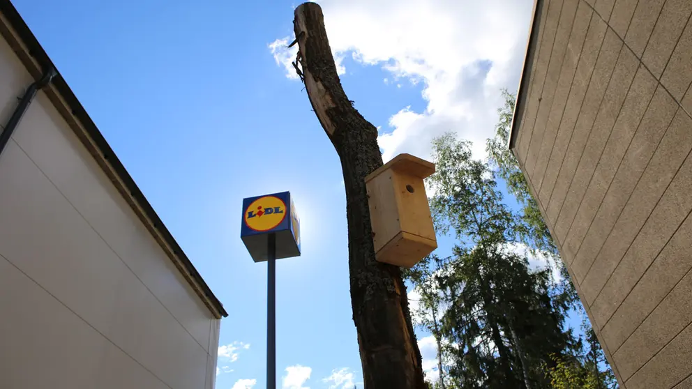 Photo: LIdl.