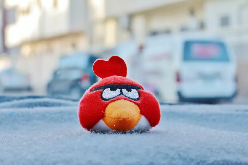 Angry-bird-angrybirds