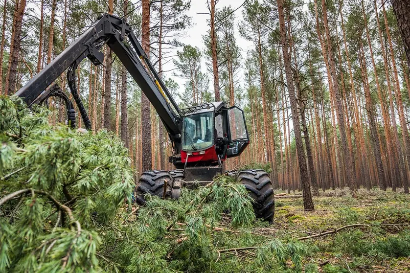 Forest-forestry-machine-harvester-by-Pixabay