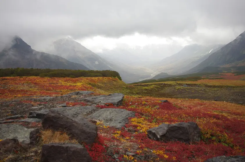 Landscape on the kamchatka peninsula. Photo: Pixabay.