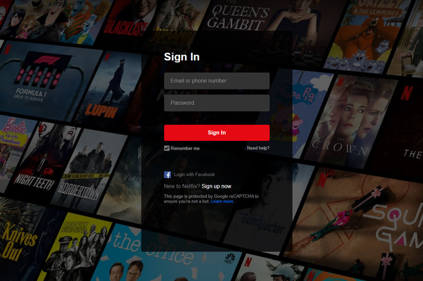 Image: Screenshot of the Netflix access system.