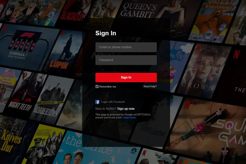 Image: Screenshot of the Netflix access system.