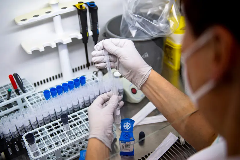 29 November 2021, Czech Republic, Trutnov: An employee of the microbiological laboratory of the Trutnov Hospital evaluates tests for COVID-19. The first case of the coronavirus variant Omicron in the Czech Republic has been confirmed after further laboratory tests. Photo: Taneèek David/CTK/dpa.