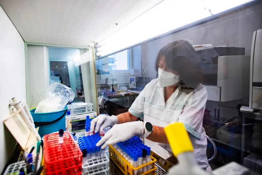 29 November 2021, Czech Republic, Trutnov: An employee of the microbiological laboratory of the Trutnov Hospital evaluates tests for COVID-19. The first case of the coronavirus variant Omicron in the Czech Republic has been confirmed after further laboratory tests. Photo: Taneèek David/CTK/dpa.