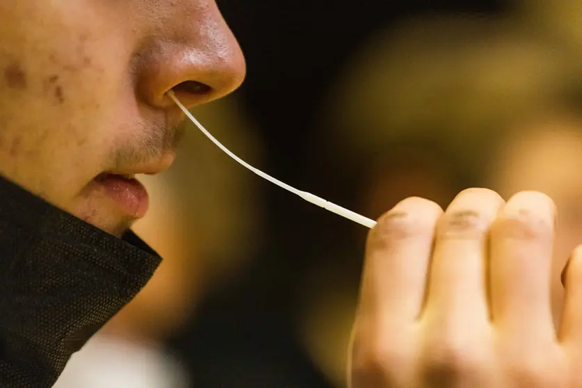 10 January 2022, Baden-Wuerttemberg, Heitersheim: A student uses a swab to take a sample from his nose for a Corona rapid test as schools and daycare centres reopen after the Christmas vacations. The German Paul Ehrlich Institute stated that a large part of the rapid tests to detect corona available in Germany are suitable for monitoring the new corona mutant "Omicron". Photo: Philipp von Ditfurth/dpa.