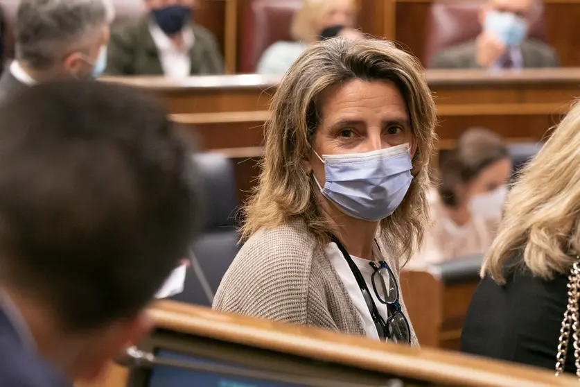 16/03/2022. The third vice president and minister for the Ecological Transition and the Demographic Challenge, Teresa Ribera, at the lower house of Parliament (Congress of Deputies). Photo: Eva Ercolanese/PSOE.