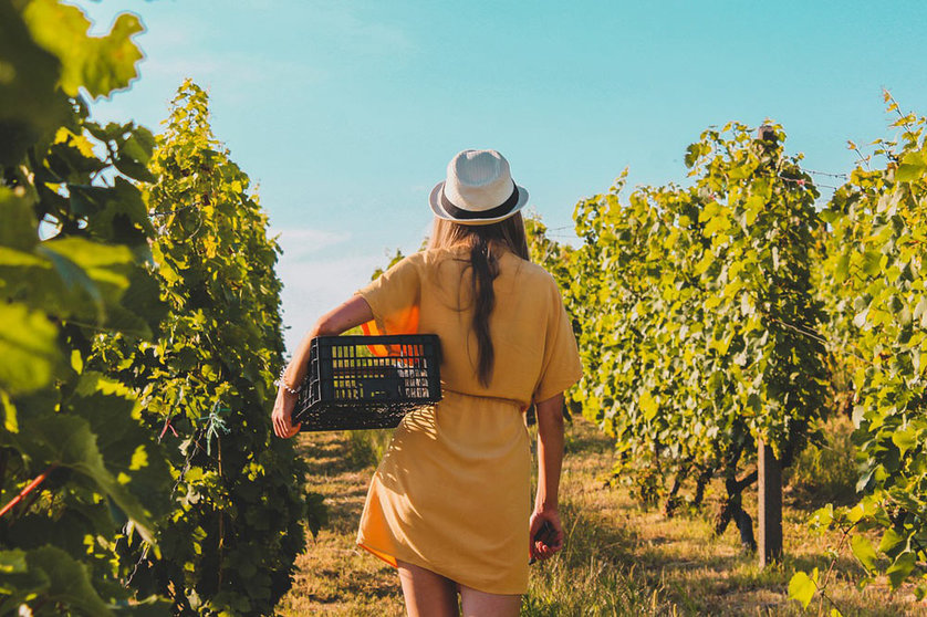 Woman vineyard agriculture. Photo: Pixabay.