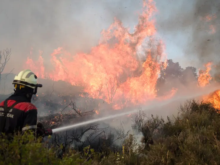 15 June 2022, Spain, Tafalla: A firefighter holds a hose to put out the forest fire near the NA-132 road. Photo: Eduardo Sanz/EUROPA PRESS/dpa