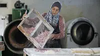 Nablus (Palestinian Territories): A Palestinian woman prepares sweet halqum, an Iraqi-Turkish dessert, which is usually served during the Muslim holy month of Ramadan, at her shop in the West Bank city of Nablus. Photo: Nasser Ishtayeh/dpa.