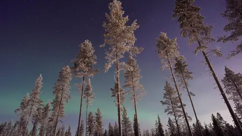 Aurora borealis. Photo: Vincent Guth/Unsplash.
