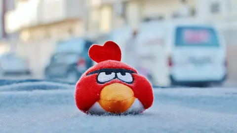 Angry-bird-angrybirds