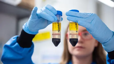 HANDOUT - 23 November 2020, England, Oxford: An undated photo shows a researcher working in a laboratory at the Jenner Institute on the coronavirus vaccine developed by AstraZeneca and Oxford University. Pharmaceutical giant AstraZeneca and the University of Oxford on Monday said that interim clinical trial data suggests its Covid-19 vaccine is, on average, 70.4 per-cent effective when combining figures from two dosing regimens. Photo: John Cairns/University of Oxford via PA Media/dpa.