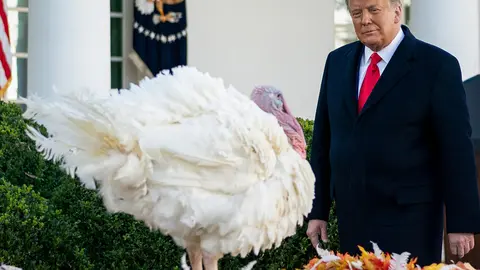 FILED - 24 November 2020, US, Washington: US President Donald Trump pardons 'Corn' as the 2020 National Thanksgiving Turkey during the annual pardoning ceremony of the National Thanksgiving Turkey in the Rose Garden of the White House. Photo: Andrea Hanks/White Housevia ZUMA Wire/dpa