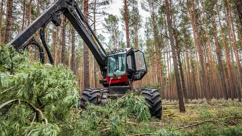 Forest-forestry-machine-harvester-by-Pixabay