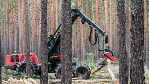 Forest-industry-by-Pixabay