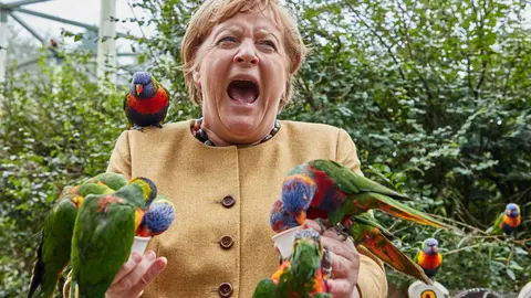 FILED - 23 September 2021, Mecklenburg-Western Pomerania, Marlow: German Chancellor Angela Merkel gets bitten while feeding Australian lorises at Marlow Bird Park. Photo: Georg Wendt/dpa