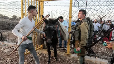 10 October 2021, Palestinian Territories, Salfit: Israeli soldiers are seen guarding the gate of the separation fence as Palestinian farmers make their way to pick olives outside the West Bank city of Salfit, near the Jewish settlement of Ariel. Photo: Nasser Ishtayeh/SOPA Images via ZUMA Press Wire/dpa.