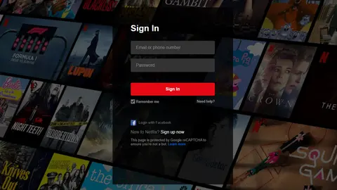 Image: Screenshot of the Netflix access system.