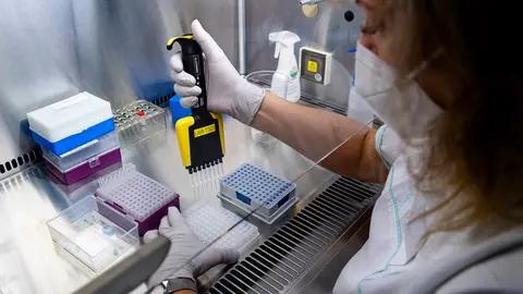 29 November 2021, Czech Republic, Trutnov: An employee of the microbiological laboratory of the Trutnov Hospital evaluates tests for COVID-19. The first case of the coronavirus variant Omicron in the Czech Republic has been confirmed after further laboratory tests. Photo: Taneèek David/CTK/dpa.