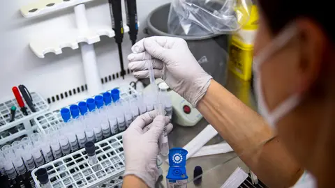 29 November 2021, Czech Republic, Trutnov: An employee of the microbiological laboratory of the Trutnov Hospital evaluates tests for COVID-19. The first case of the coronavirus variant Omicron in the Czech Republic has been confirmed after further laboratory tests. Photo: Taneèek David/CTK/dpa.