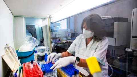 29 November 2021, Czech Republic, Trutnov: An employee of the microbiological laboratory of the Trutnov Hospital evaluates tests for COVID-19. The first case of the coronavirus variant Omicron in the Czech Republic has been confirmed after further laboratory tests. Photo: Taneèek David/CTK/dpa.